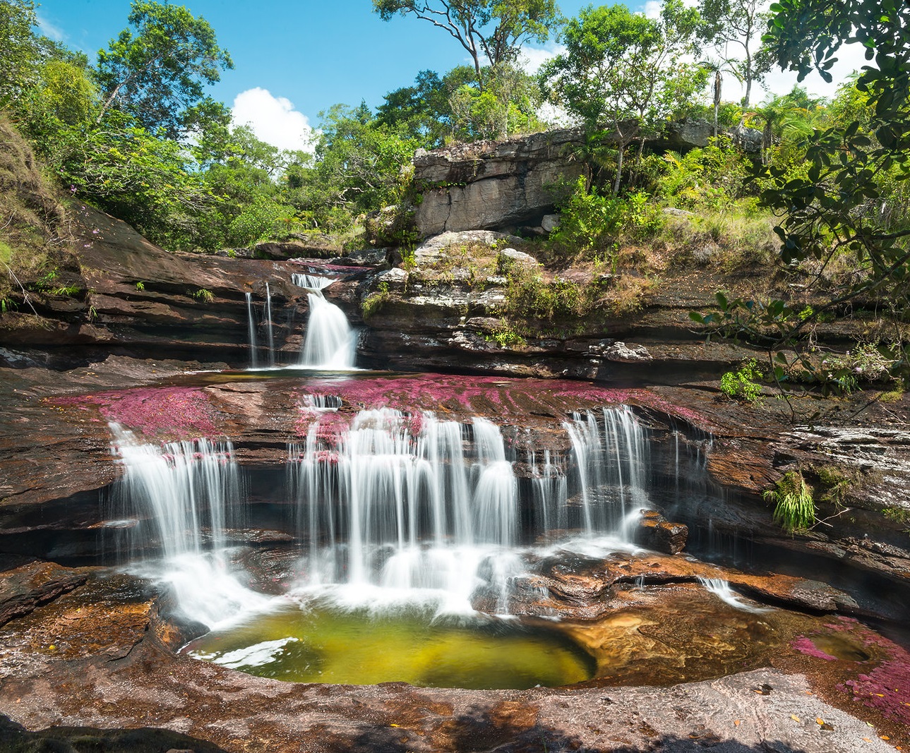 Caño Cristales Colombia